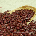 Adzuki bean 2016 cosecha 4.5-6.0mm mercado de China con alta calidad